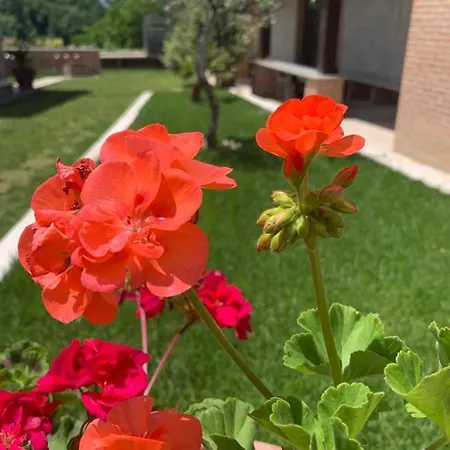La Collina Su Ascoli B&B 아스콜리피체노
