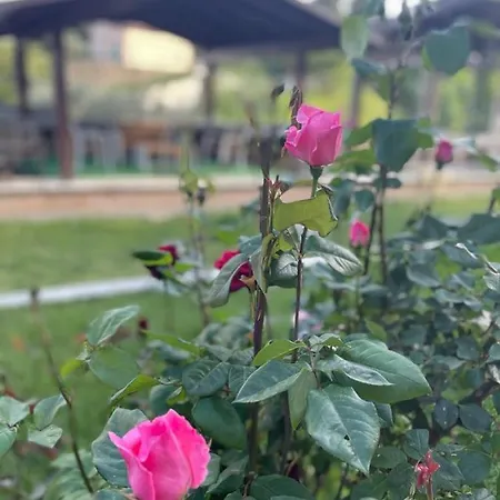 B&B La Collina Su Ascoli *