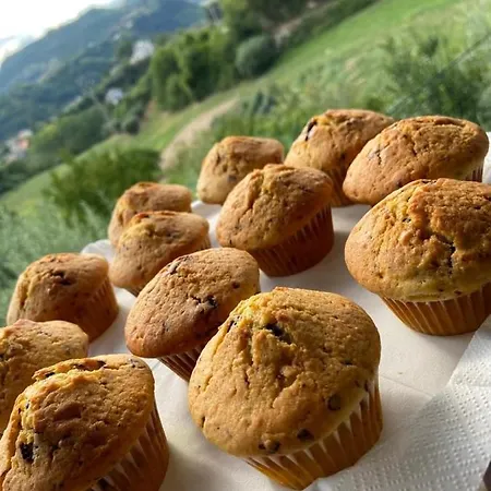 La Collina Su Ascoli Oda ve Kahvaltı Ascoli Piceno