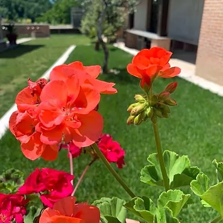 Oda ve Kahvaltı La Collina Su Ascoli 3*