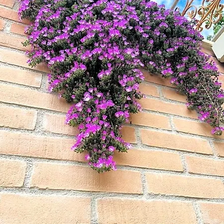 La Collina Su Ascoli Oda ve Kahvaltı