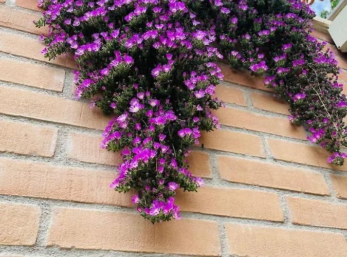 La Collina Su Ascoli